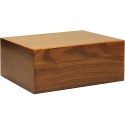 Humidor Matowy Orzech Pegasus 35