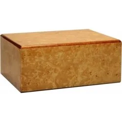Humidor Lśniący Guy Janot Root 35
