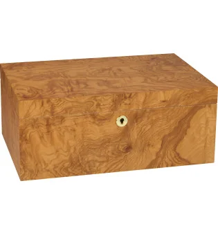 Humidor adorini Specially Selected Grande w kolorze oliwkowym z rozmytym wzorem